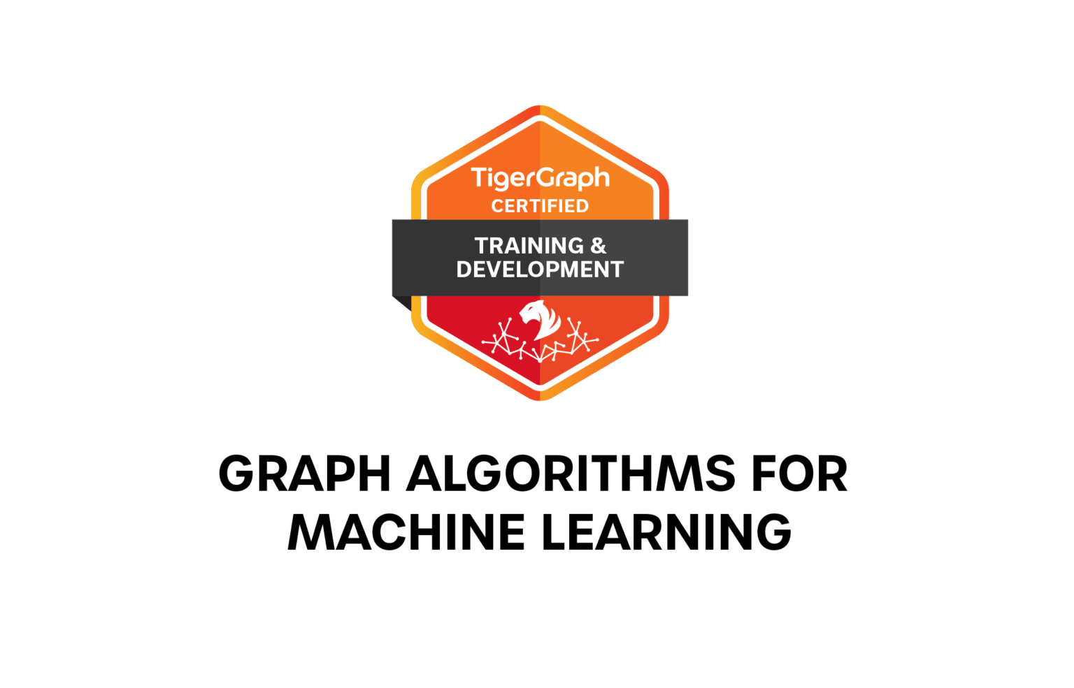 Graph Algorithms for Machine Learning Certification Path